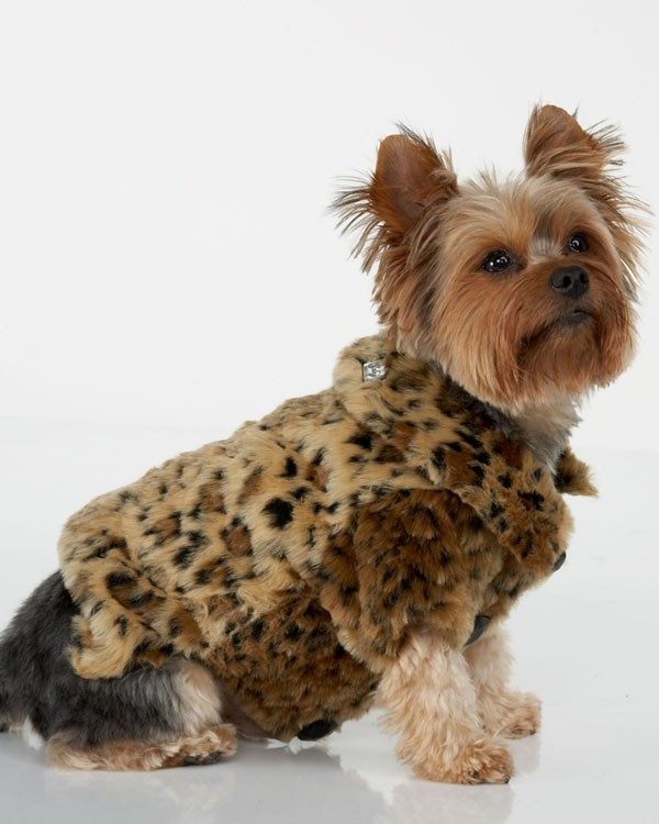 Diamonds and Hearts Fur Coat for Dogs – Petit Pups Pawtique & More