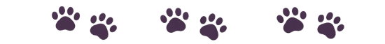 pawsdivider